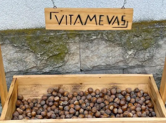 7rooms Herberg Telnice